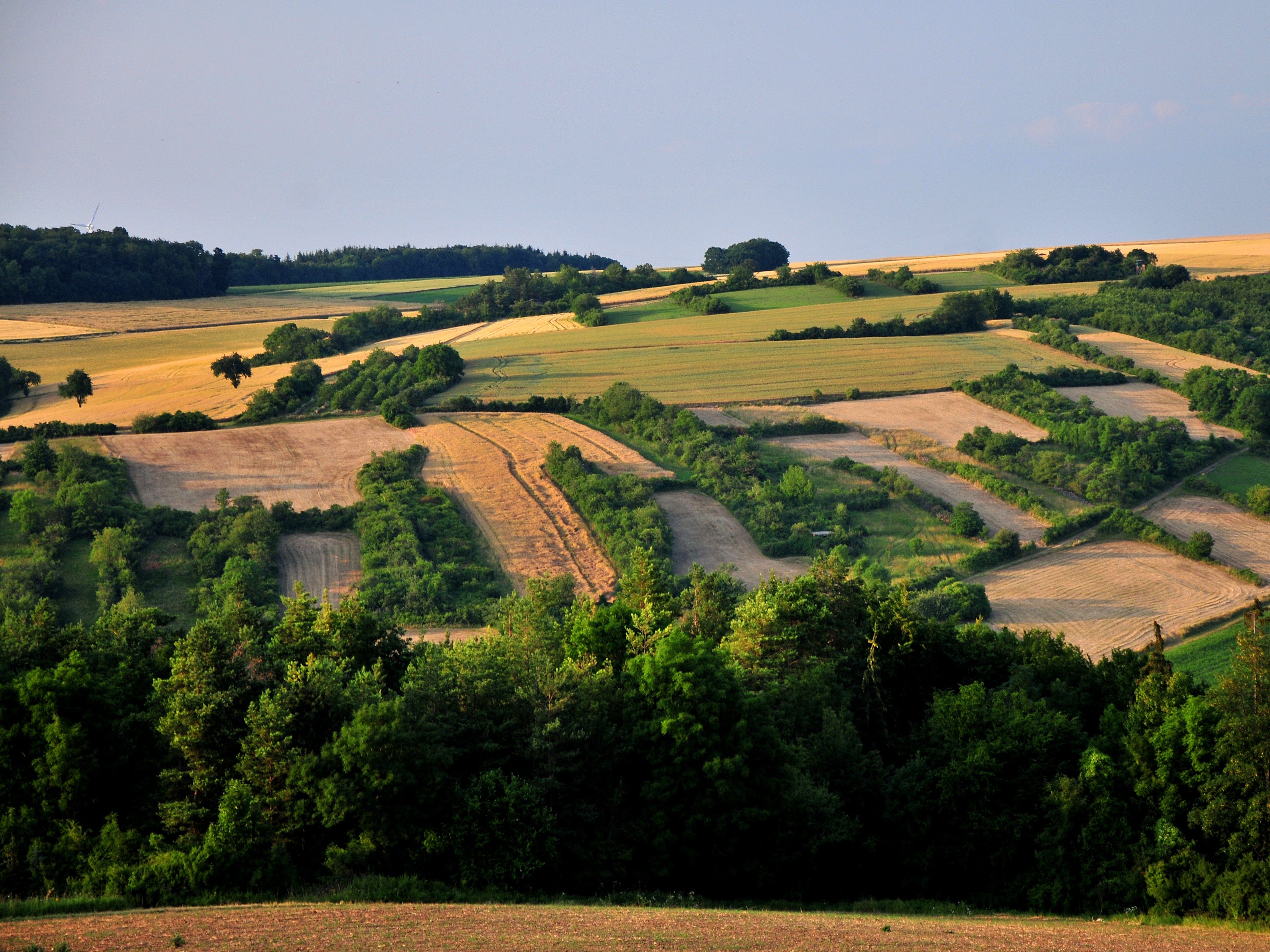 Landschaftsbild Krensheim